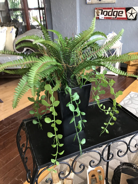 New! Faux Plants in Planter