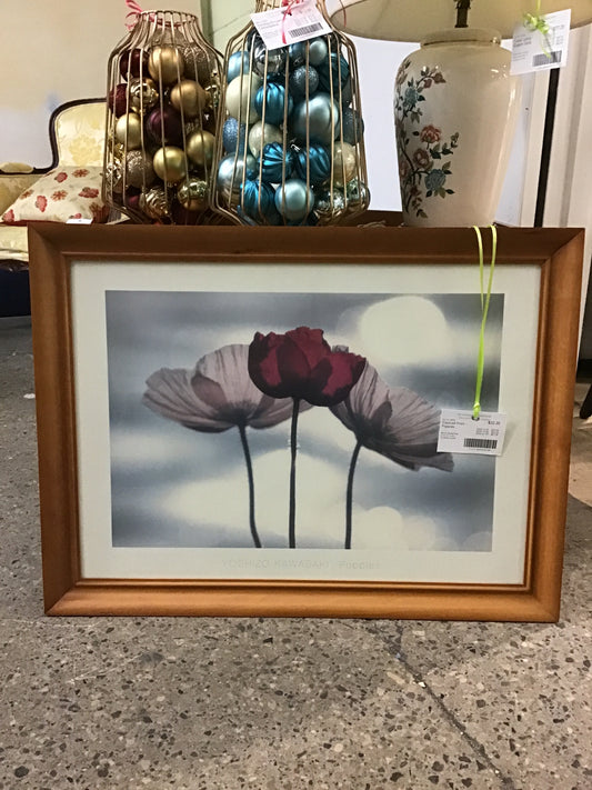 Framed Print - Poppies