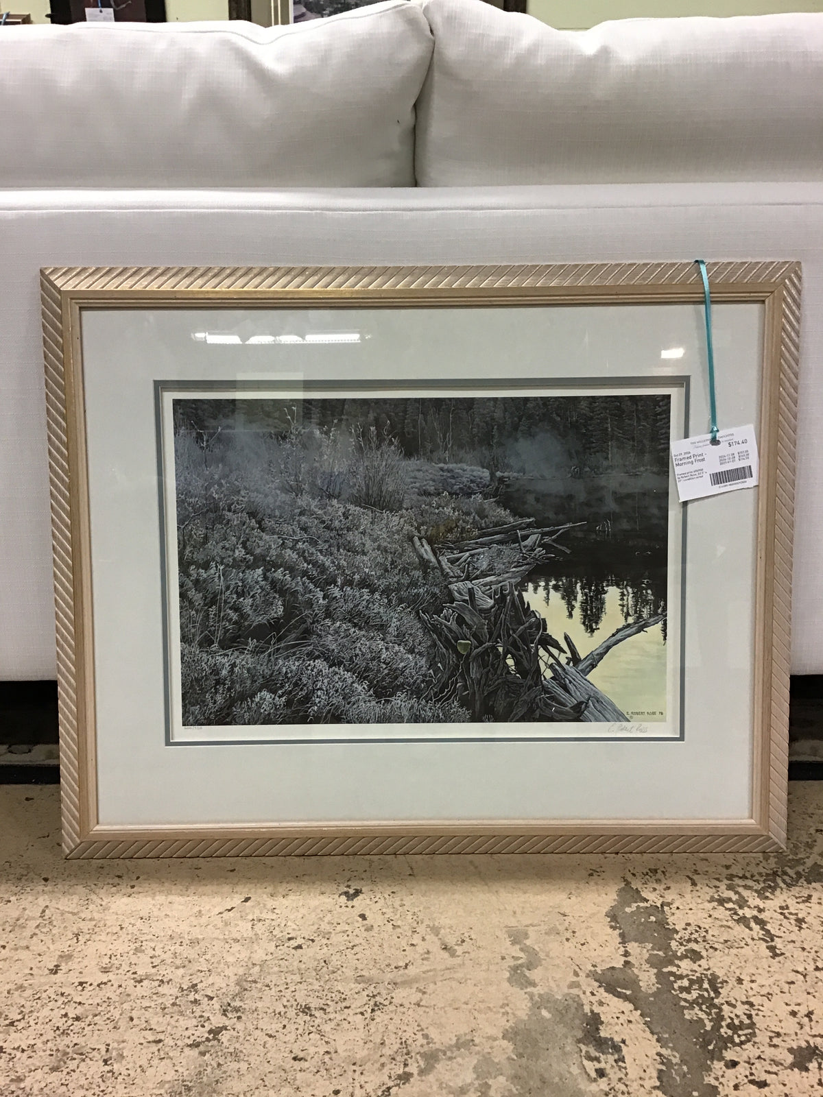 Framed Print - Morning Frost