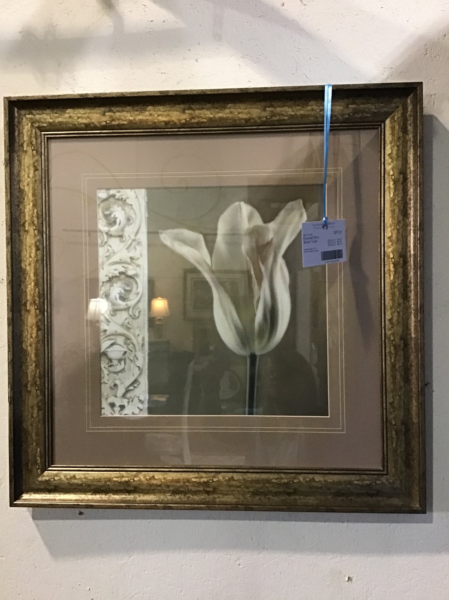 Framed Print - Blush Tulip