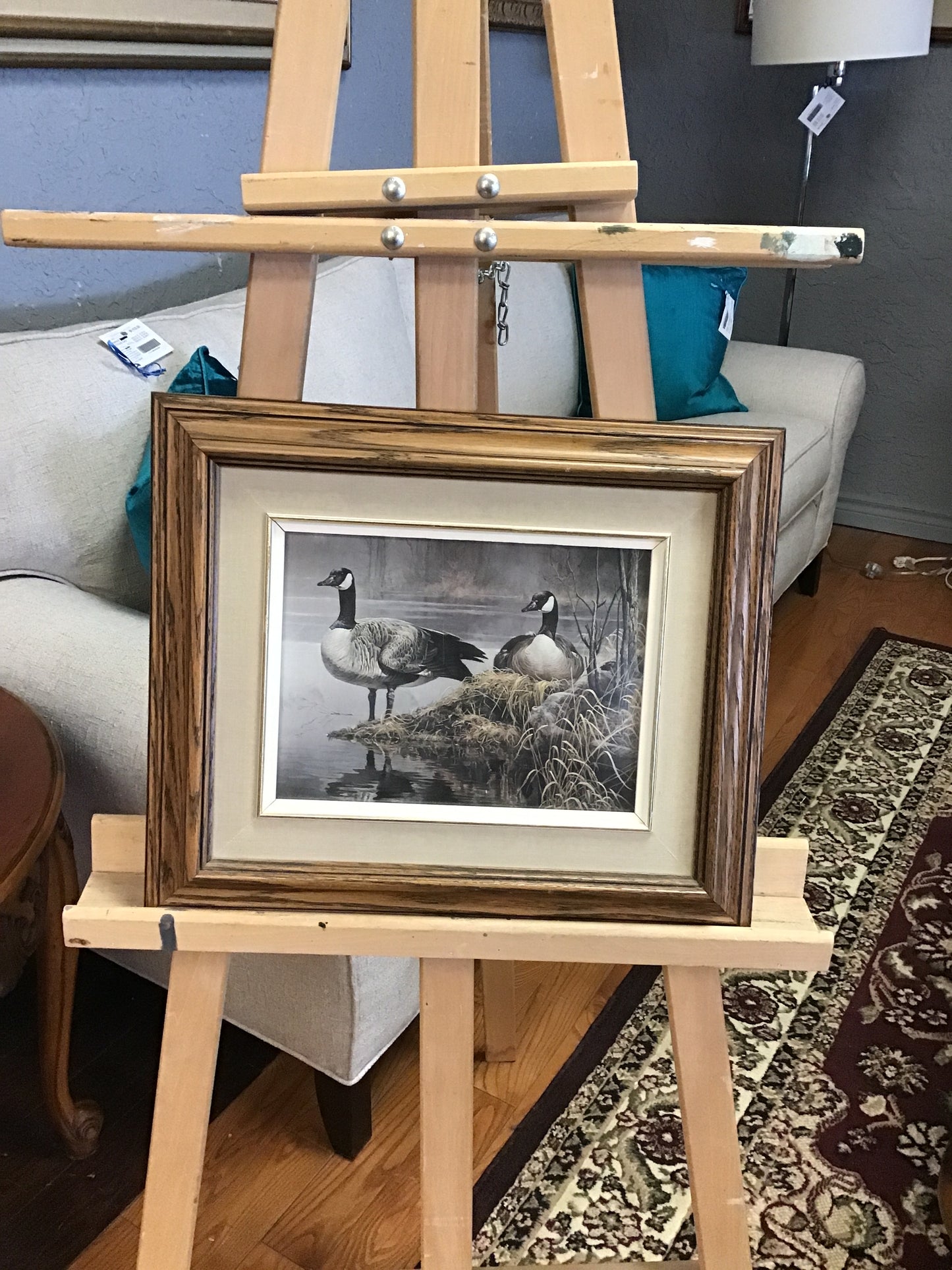 Robert Bateman 'Canada Geese Nesting' Print