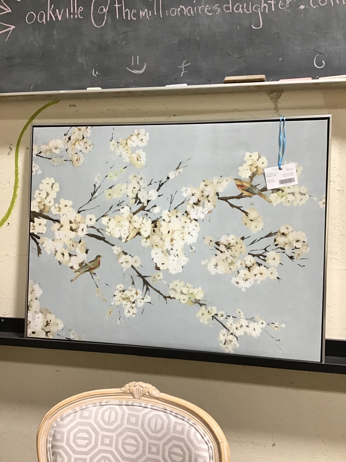 Framed Print - Birds In Tree