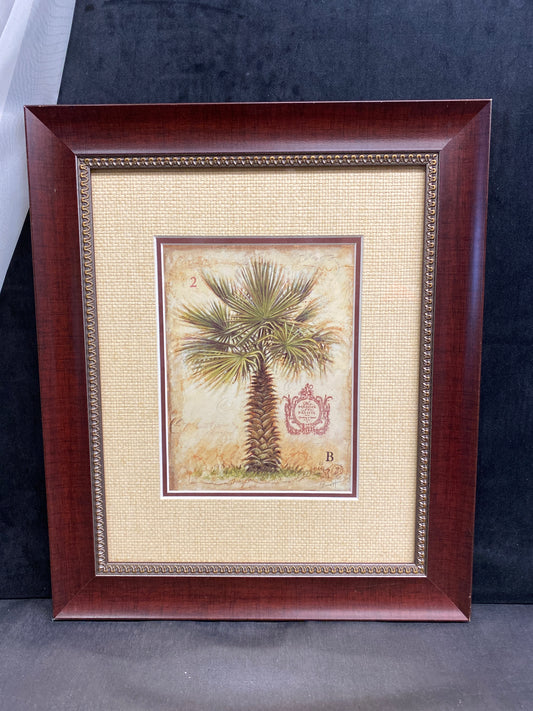Framed Print - Palm Tree 2