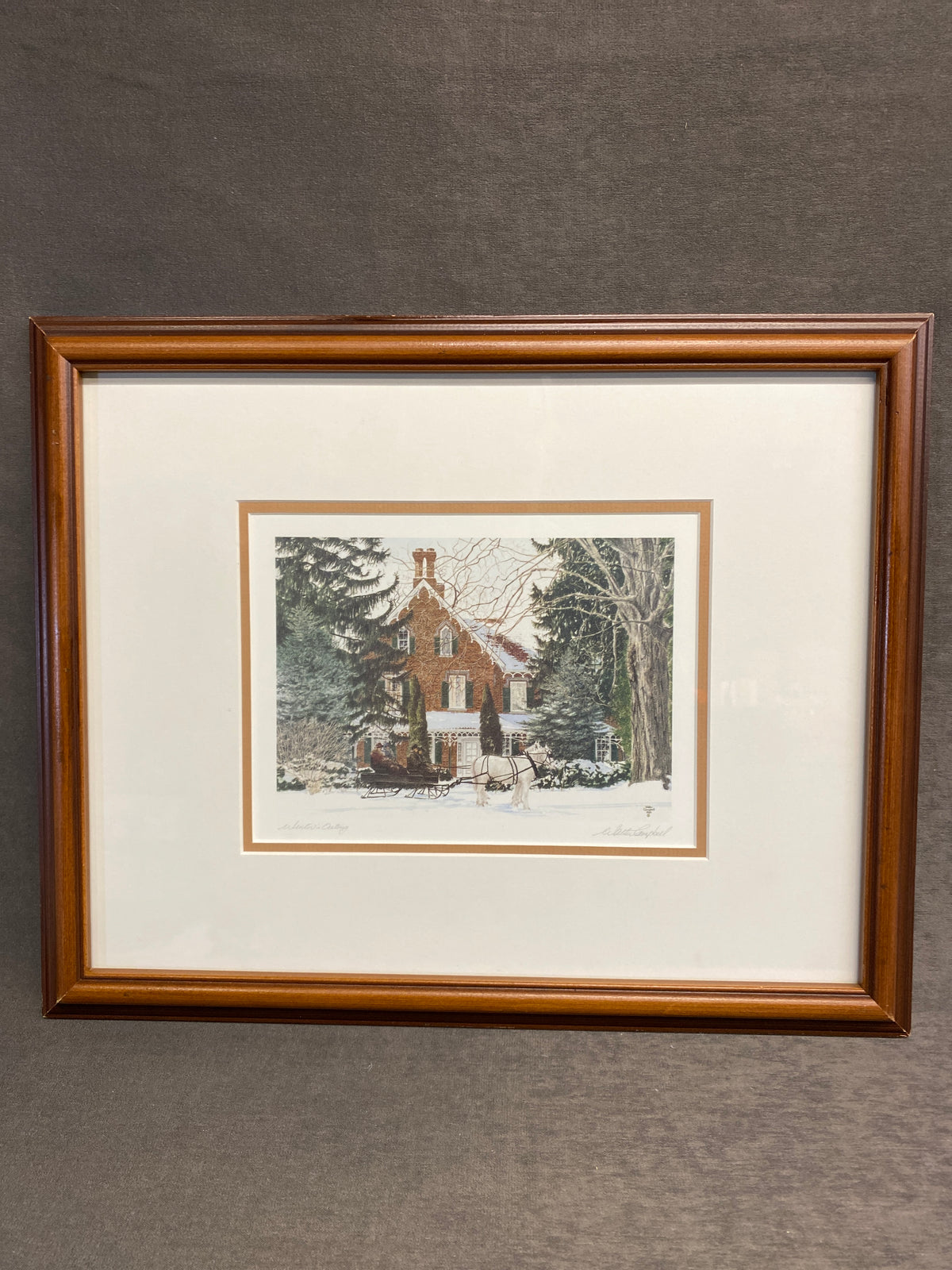 Framed Print - Winter Outing