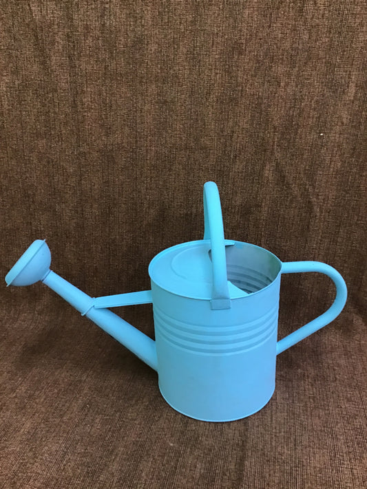 Chalk Robins Egg Blue Watering Can