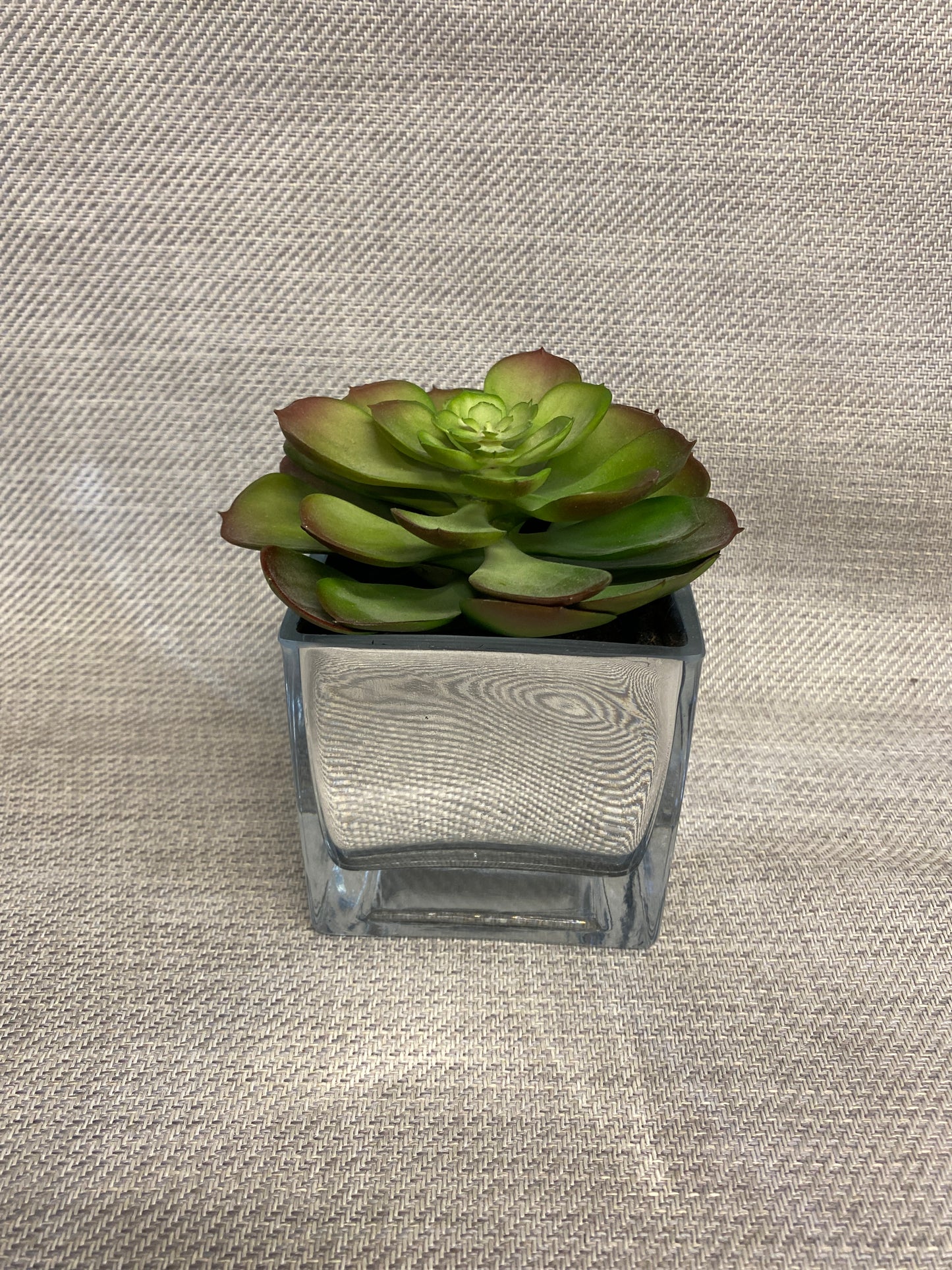 Faux Succulent