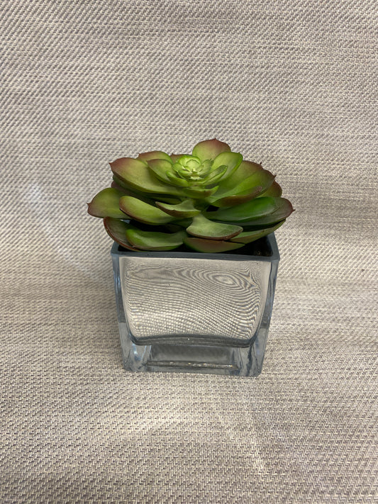 Faux Succulent
