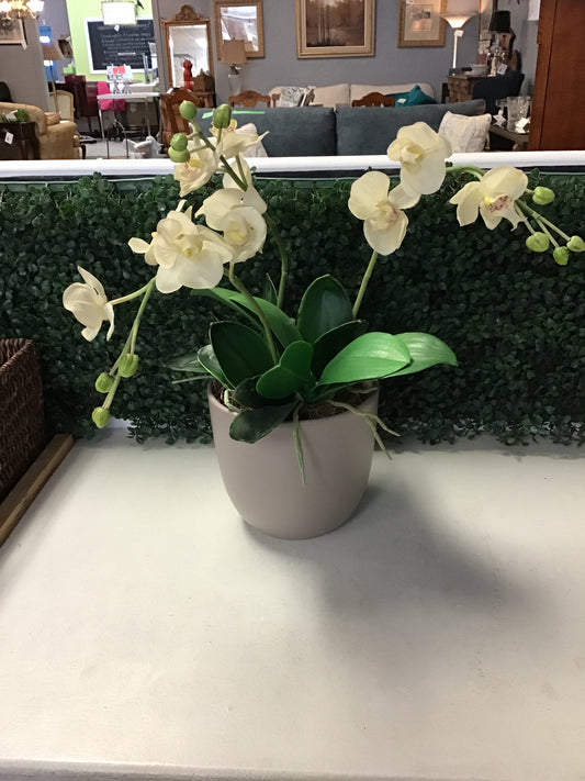 Faux Orchid Planter