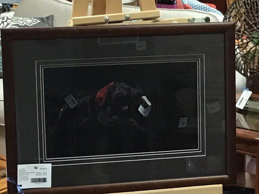 Framed Greyhound Limited Edition Print