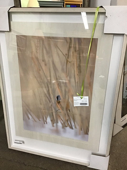 Print - Bird in Tall Grasses