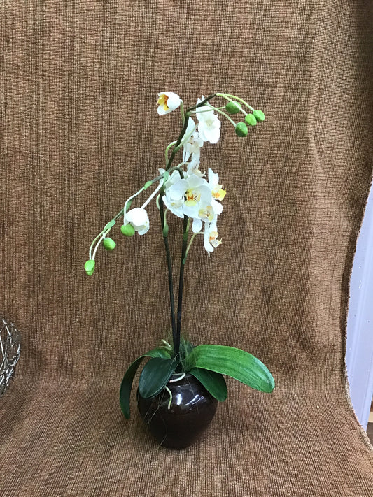 Faux Orchid in Ceramic Vase