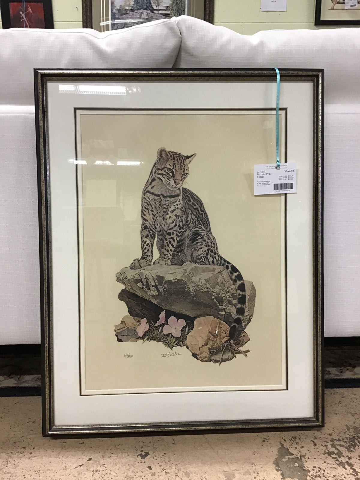Framed Print - Ocelot