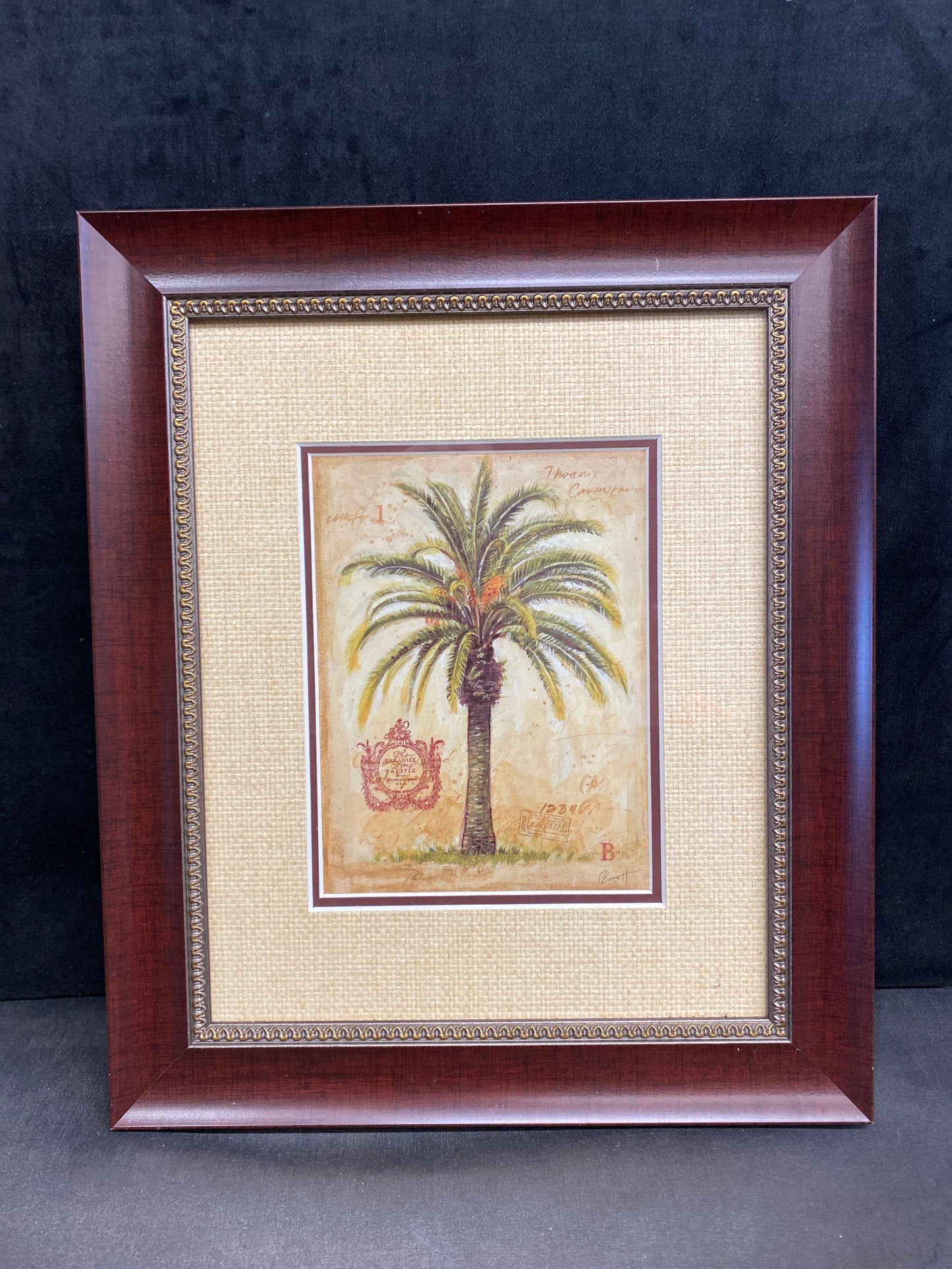 Framed Print - Palm Tree 1