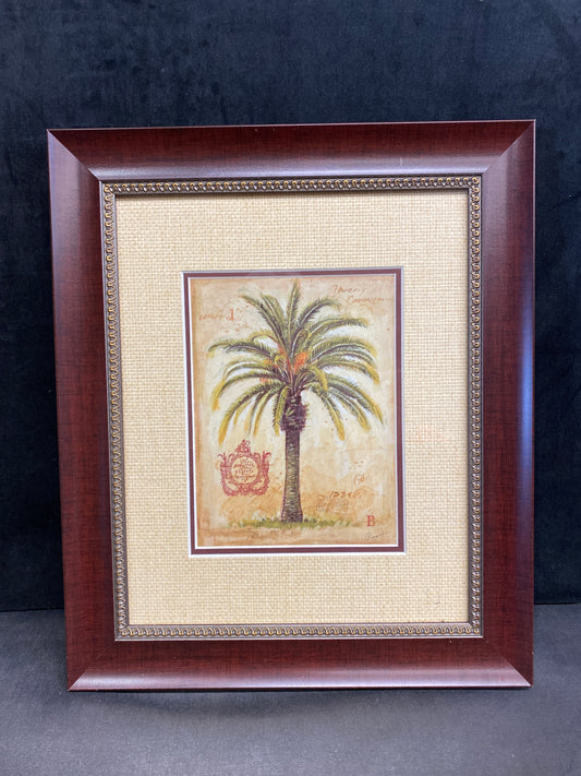 Framed Print - Palm Tree 1
