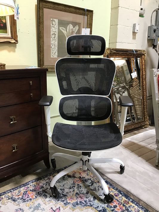 Ergonomic Desk Chair