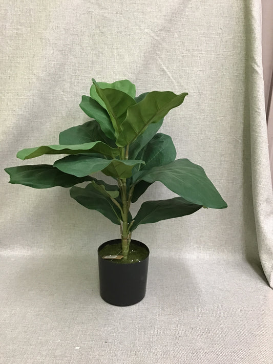 Faux Greenery in Black Pot (New)