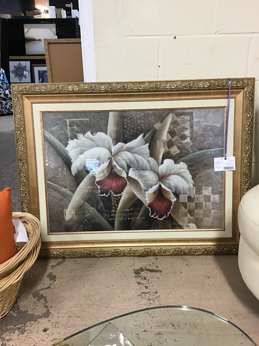 Framed Print - Orchids