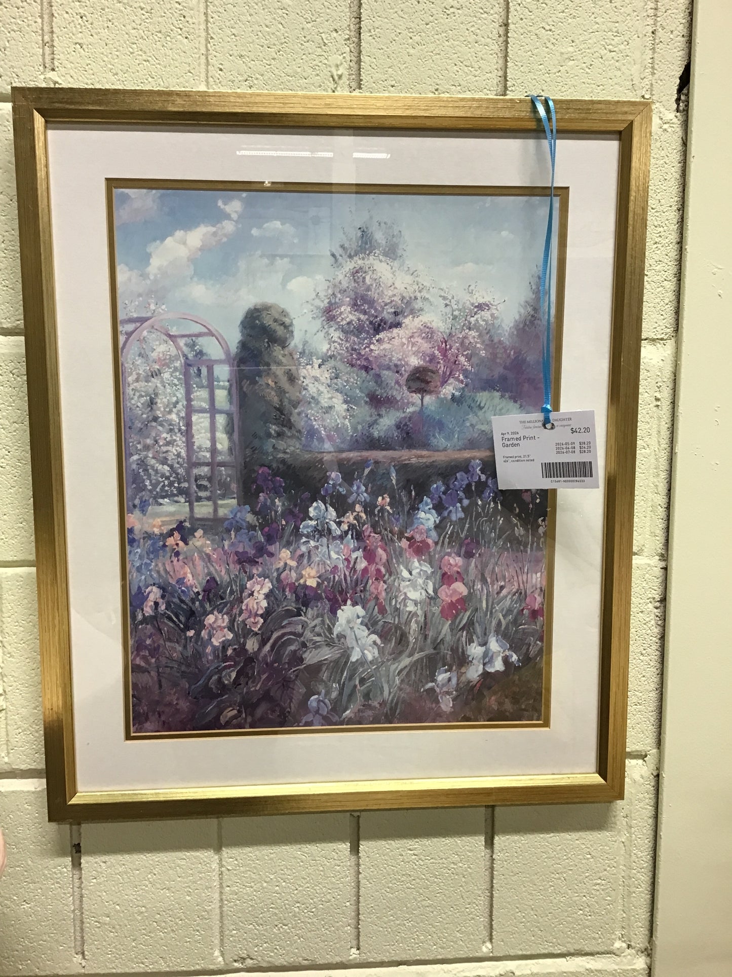 Framed Print - Garden