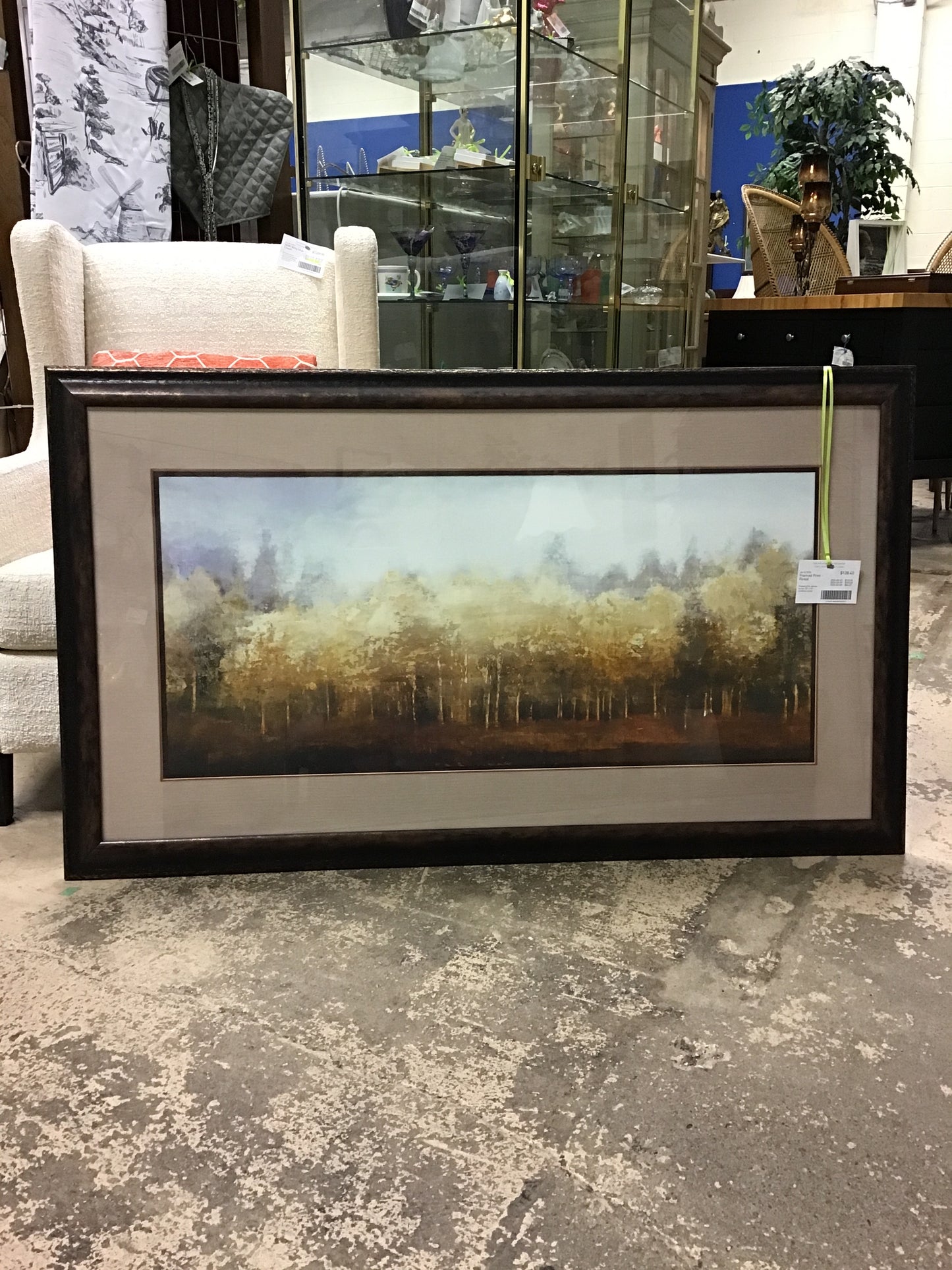 Framed Print - Forest