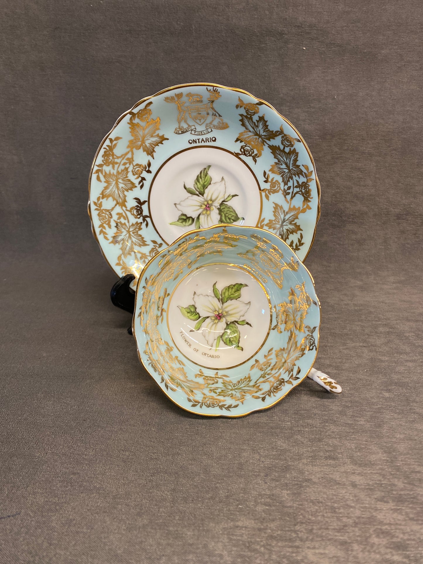Paragon Teacup & Saucer - Ontario