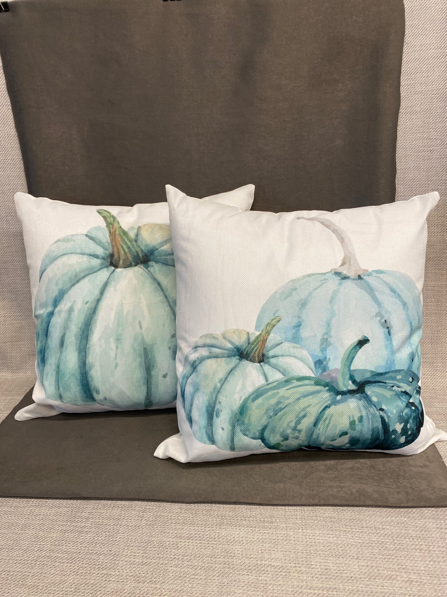 PAIR Fall Pumpkin Cushions