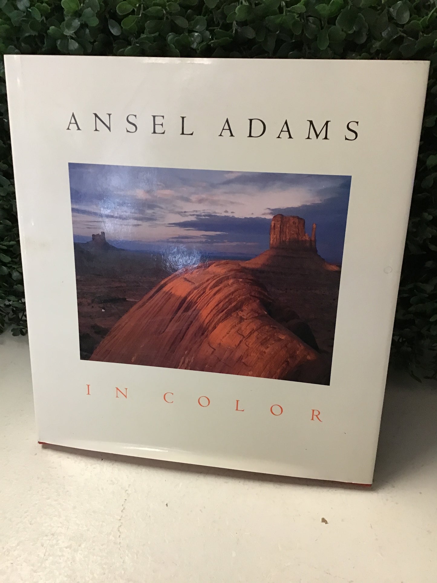In Color - Hardcover 08/25/26