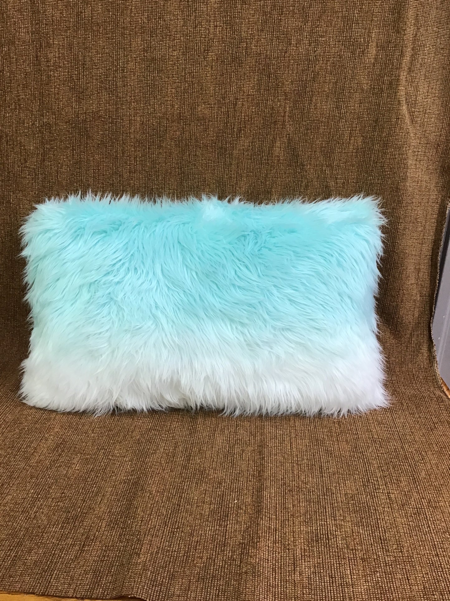 Bouclair Oblong Cushion