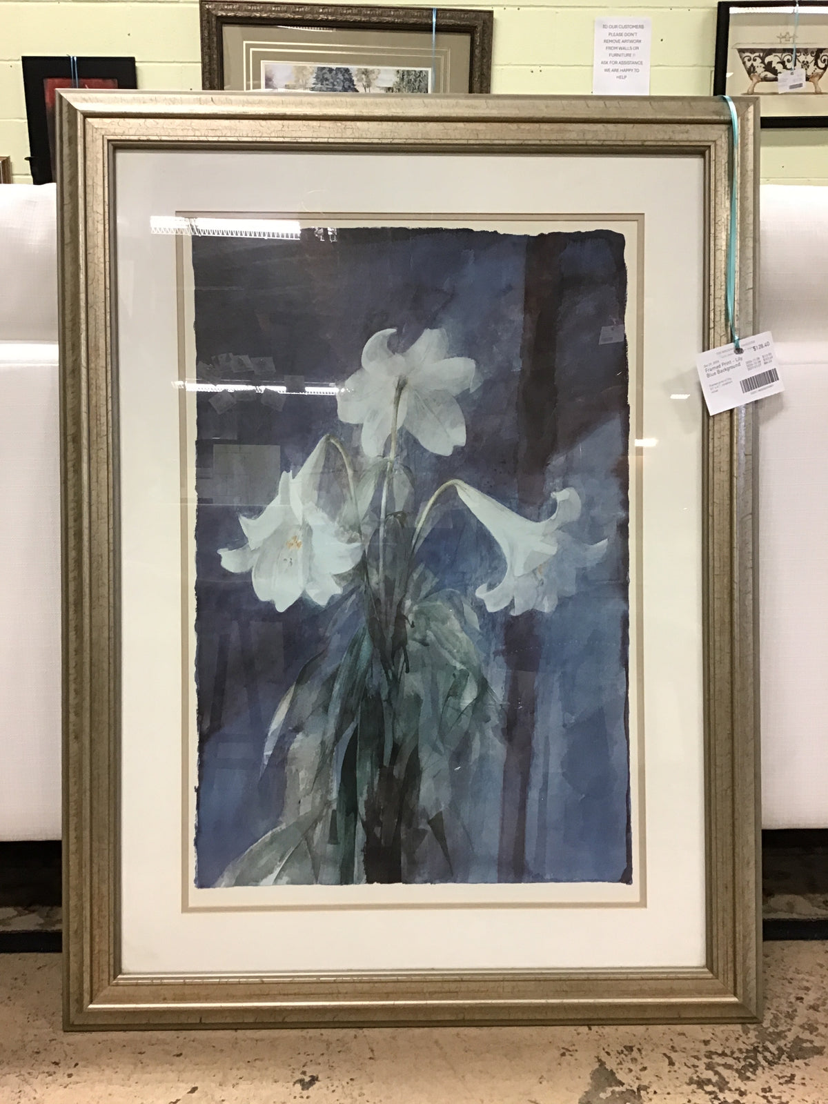 Framed Print - Lily Blue Background