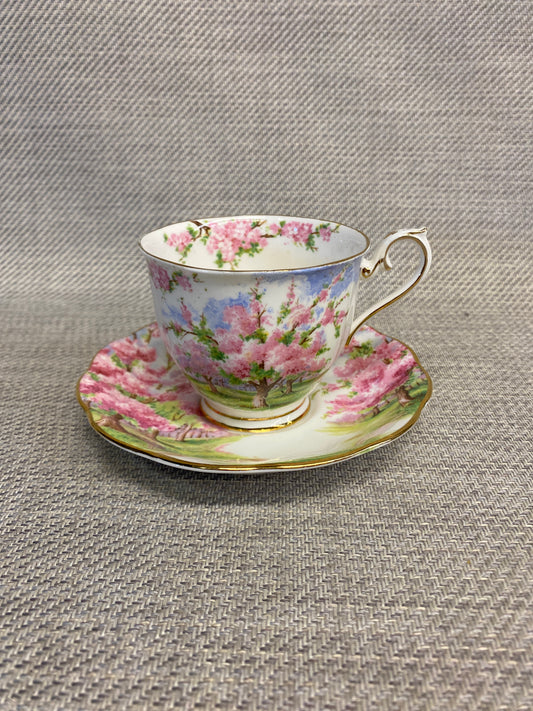 R.A. Teacup & Saucer - Blossom Time