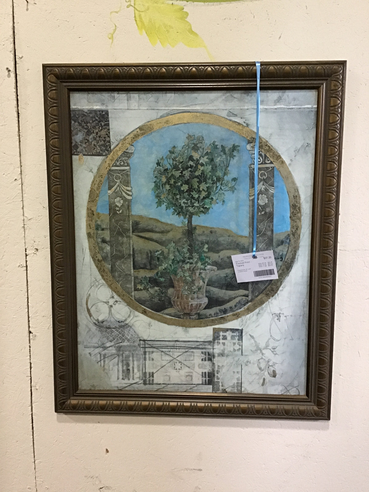 Framed Print - Topiary