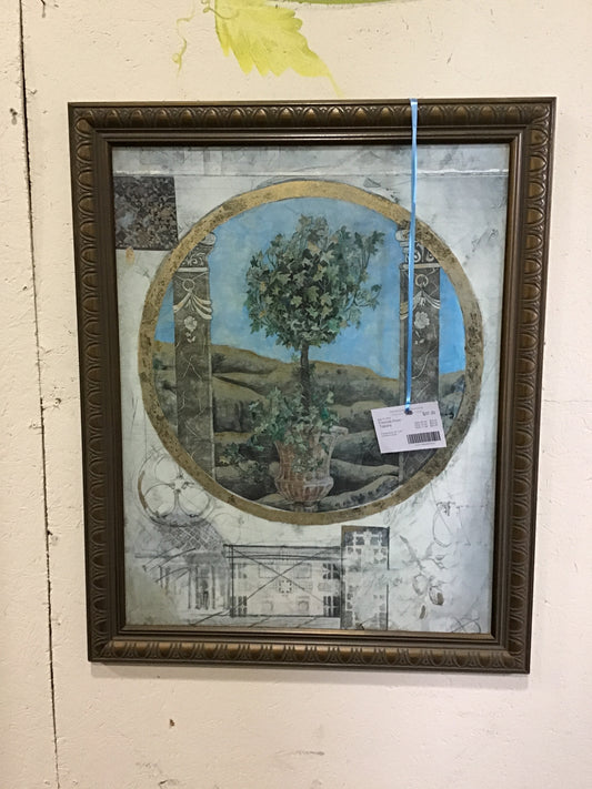 Framed Print - Topiary