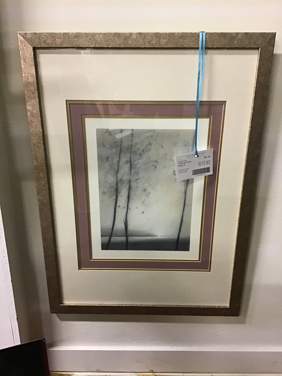 Framed Print - Vista II