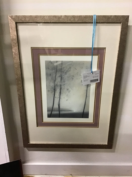 Framed Print - Vista II