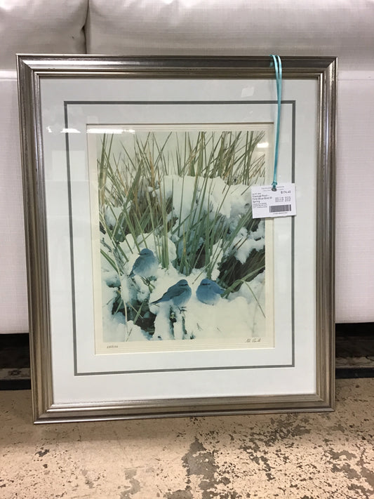 Framed Print - First Blue Bird Of Spring