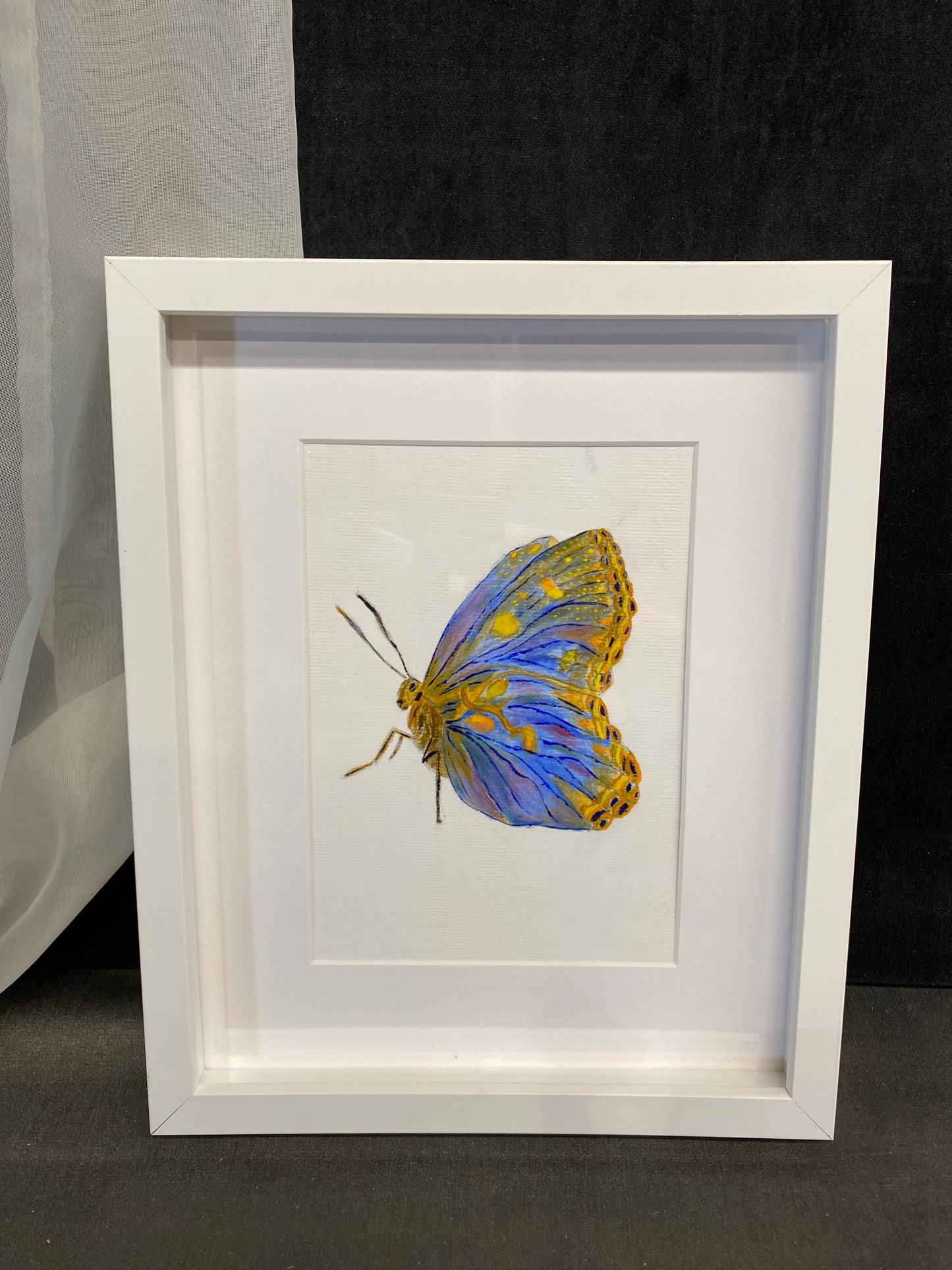 Framed Painting - Sitting Butterfly
