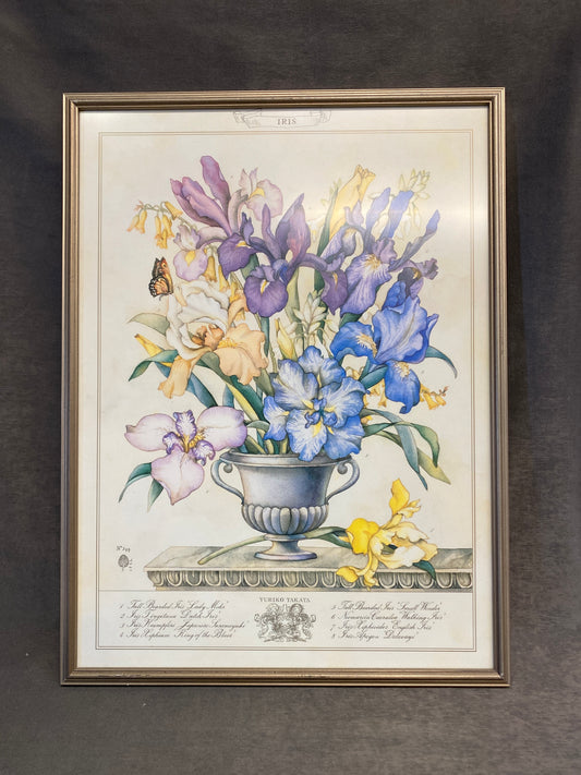 Framed Botanical Print - Iris